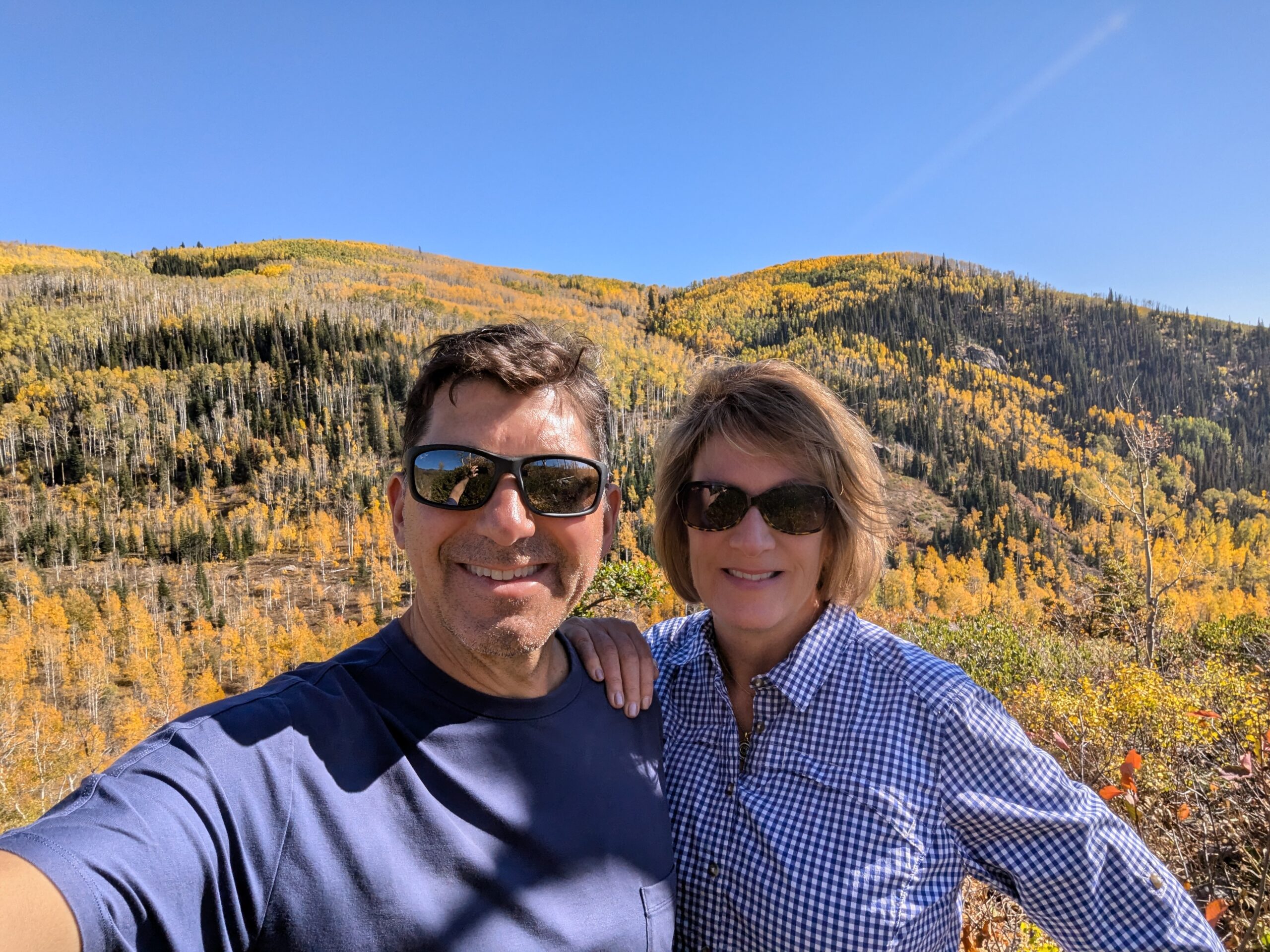 Autumn colors on Buffalo Pass, Steamboat Springs CO.