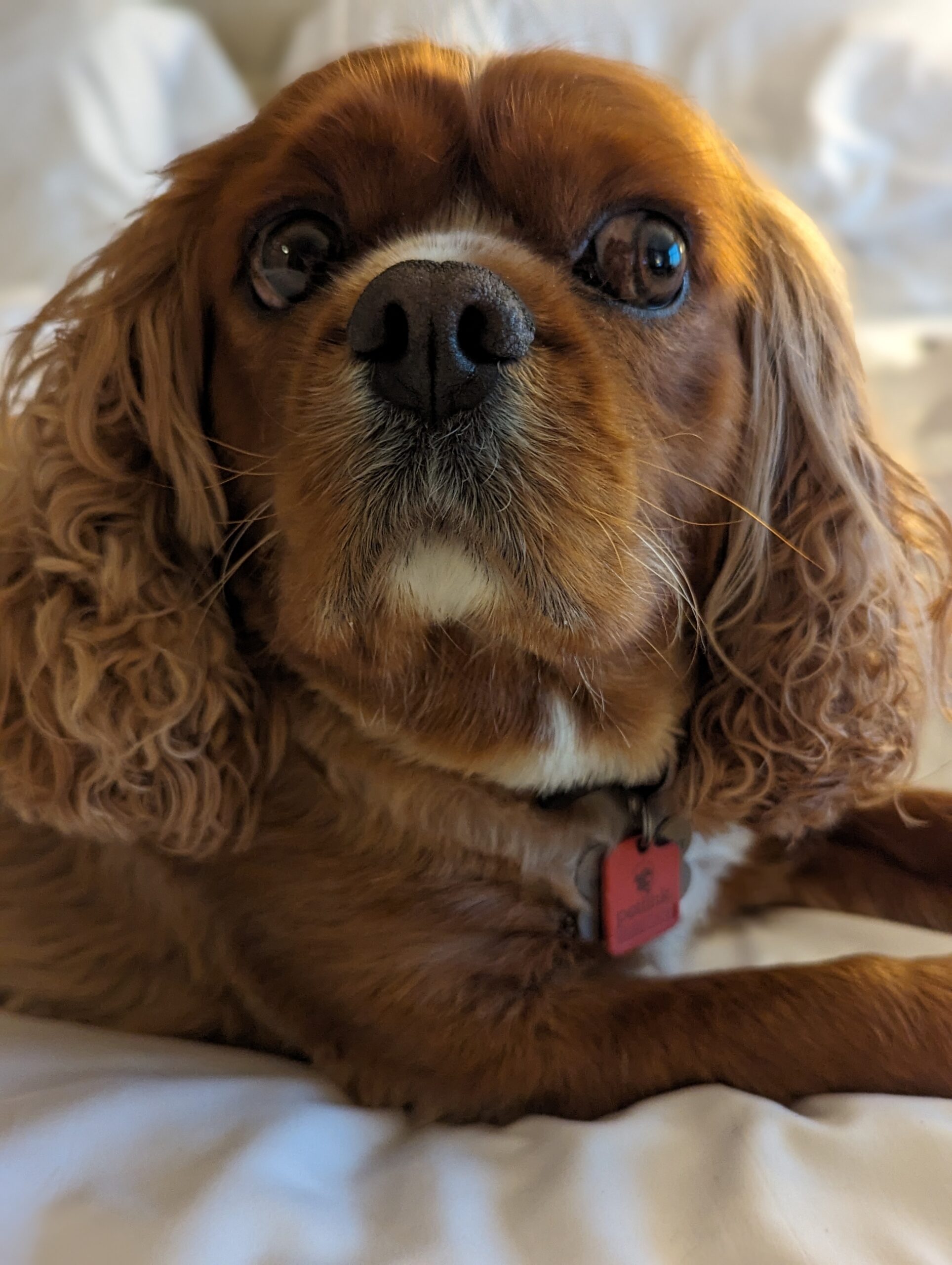 PXL 20240512 145600530.PORTRAIT